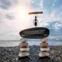 智﻿能﻿助﻿手‌干﻿什‌么​用﻿的‍